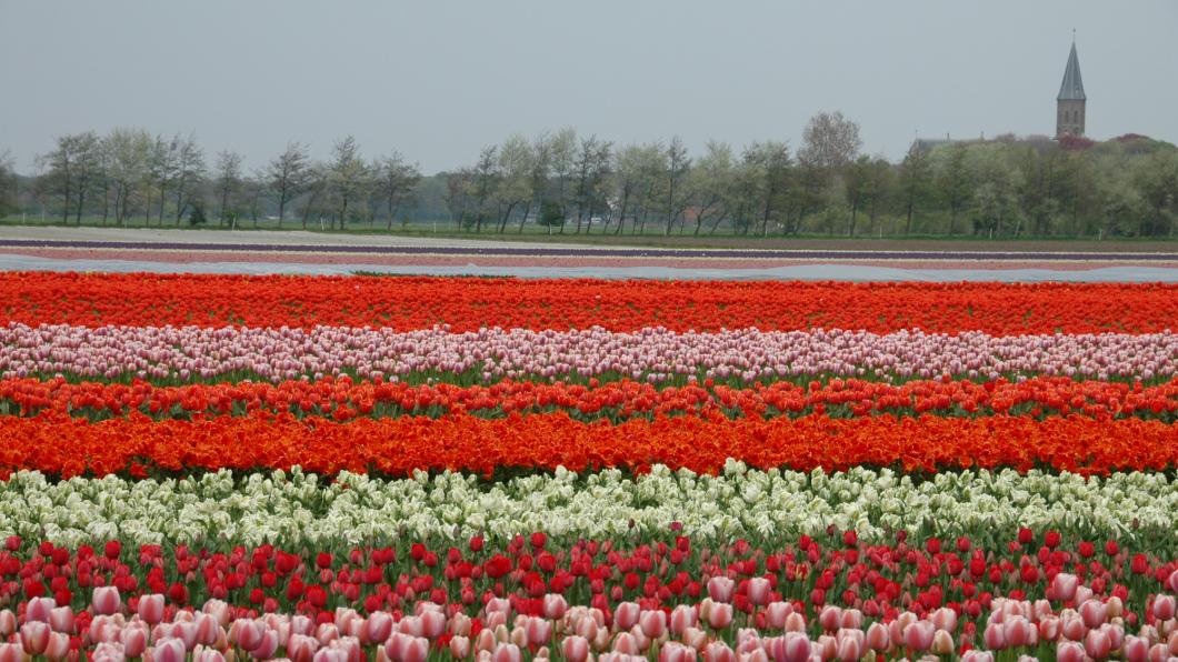 FotoDuinpolderweg2.jpg